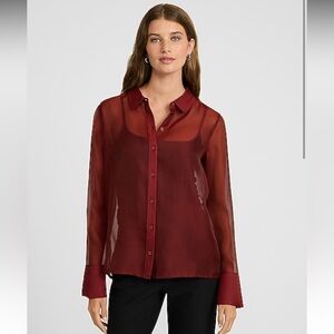 Express Sheer Button Down